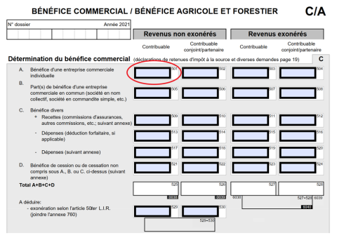 Capture d'écran de la déclaration pour l’impôt sur le revenu (Formulaire 100) 