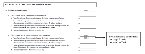 Capture d'écran de déclaration annuelle de la taxe sur la valeur ajoutée avec annotations