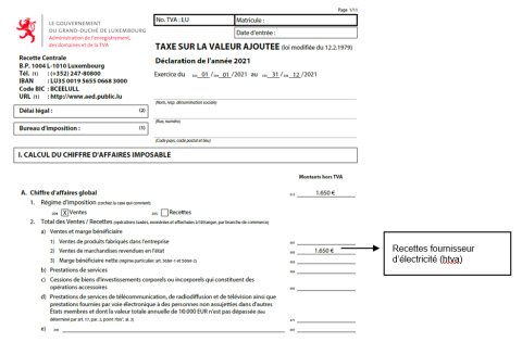 Capture d'écran de déclaration annuelle de la taxe sur la valeur ajoutée avec annotations