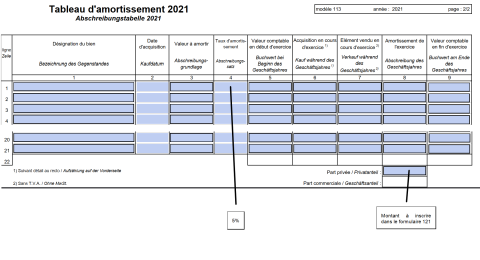 Capture d'écran du formulaire 113 avec annotations