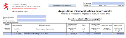 Formulaire 113 (Amortissement)